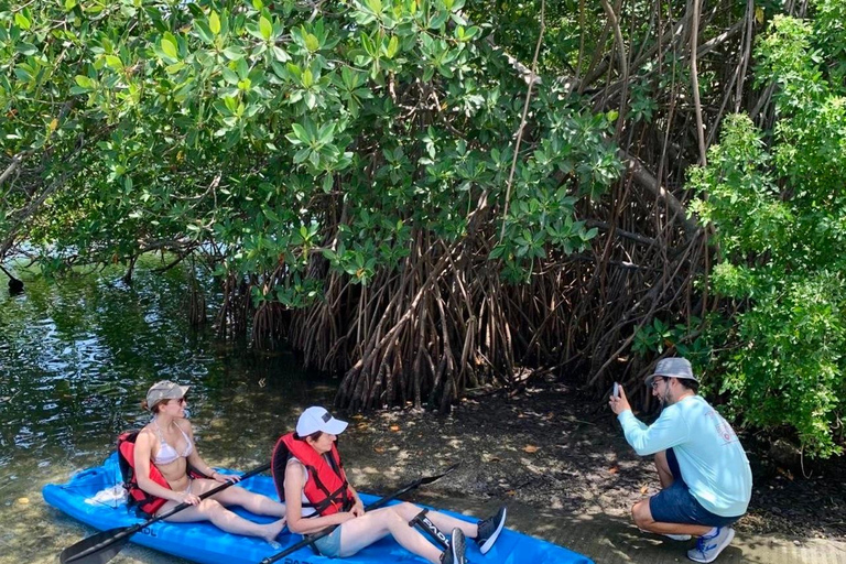 Miami: Manatee Season Paddleboard or Kayak Tour Miami: Manatee Season Single Kayak Tour