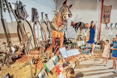 Prova Terroir : Viagem ao coração dos sabores de Domaine Castan