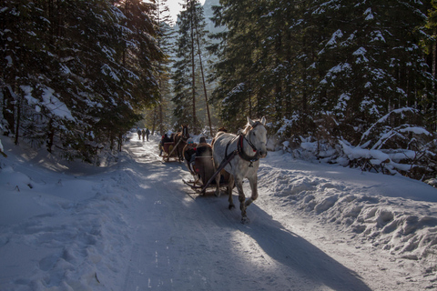 Zakopane: Paardenritten met lokale gids &amp; proeverijWinter: Sneeuw Sleetocht