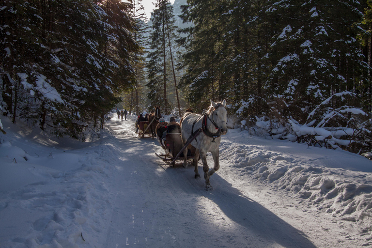 Zakopane: Horse-Drawn Rides with Local Guide & Food Tasting Winter: Snow Sleigh Ride