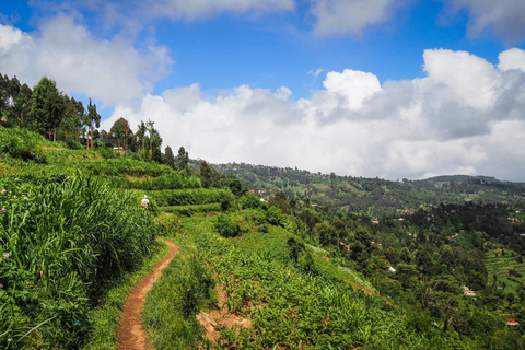 坦桑尼亚：从海岸到湖泊的 10 天社区野生动物之旅坦桑尼亚：从海岸到湖泊的 10 天社区之旅