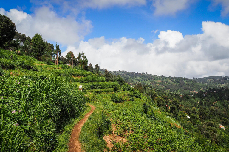坦桑尼亚：从海岸到湖泊的 10 天社区野生动物之旅坦桑尼亚：从海岸到湖泊的 10 天社区之旅