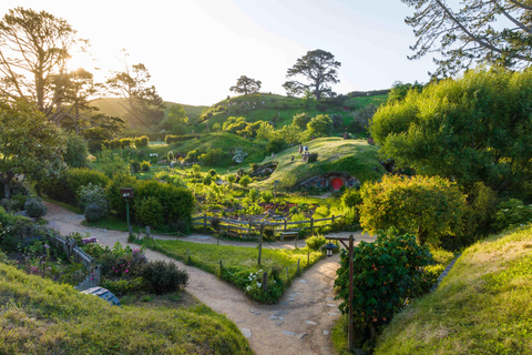 Vanuit Auckland: dagtour filmset Hobbitstee &amp; RotoruaPremium-dagtour vanuit Auckland filmset Hobbitstee &amp; Rotorua