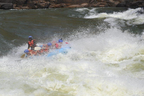 Tour di 2 giorni con rafting sullo Zambesi, safari con rinoceronti e Parco Nazionale di Chobe2 giorni di rafting sul fiume Zambesi, safari alla ricerca dei rinoceronti e tour del P