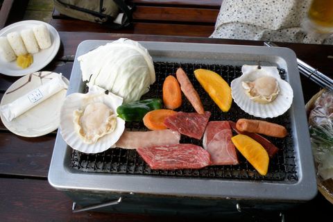 I colori del Giappone Giardino del Parco dell&#039;Isola di Noko e pranzo a base di Wagyu BBQ