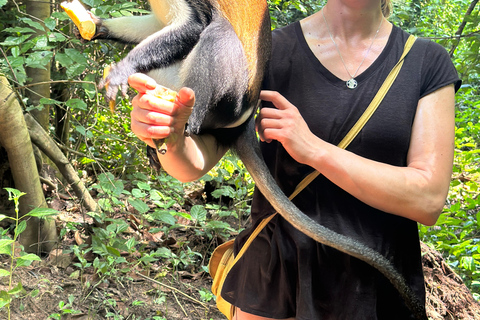 Ghana: 2-Day Monkey Sanctuary, Waterfall and Hiking Tour