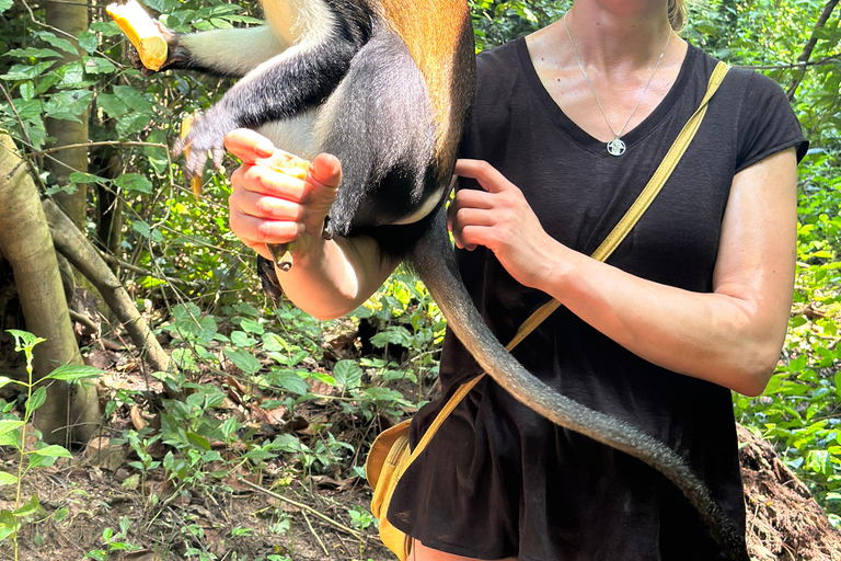 Ghana: 2-Day Monkey Sanctuary, Waterfall and Hiking Tour
