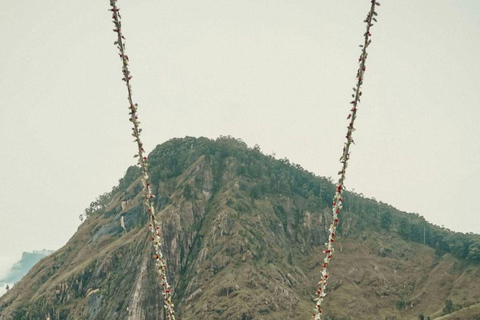 Ella: Ella Day Tour NineArch Bridge with Expert Female Guide Ella tour from Colombo, Negombo, Mt lavinia, Kalutara