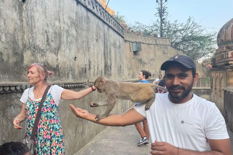Same Day Abhaneri Trip with Monkey Temple From Jaipur