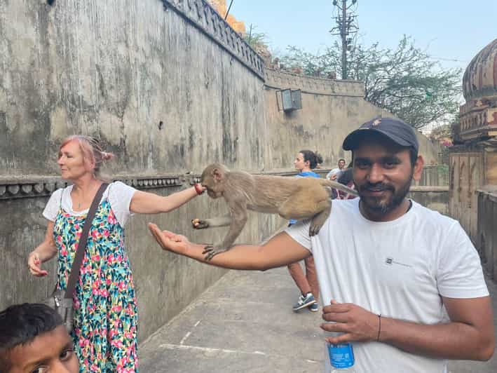 Same Day Abhaneri Trip with Monkey Temple From Jaipur