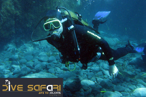 Santorini: Guided Diving Tour Dive from the beach