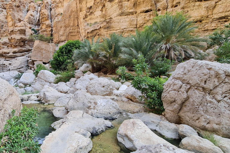 Da Muscat: Avventura a Wadi Shab, Sinkhole e Spiaggia delle Pinne