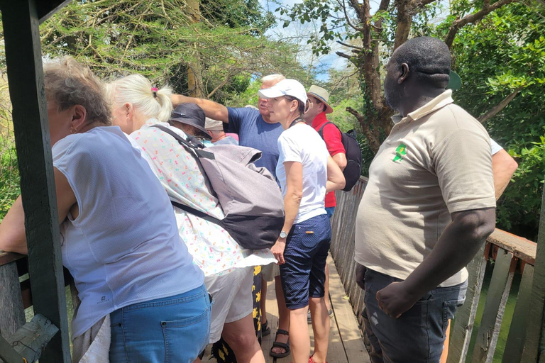 Nairobi: tour della città con musei e spettacolo culturale