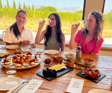 Palma: Orange Farm, Olive Mill, & Winery Tour with Tastings