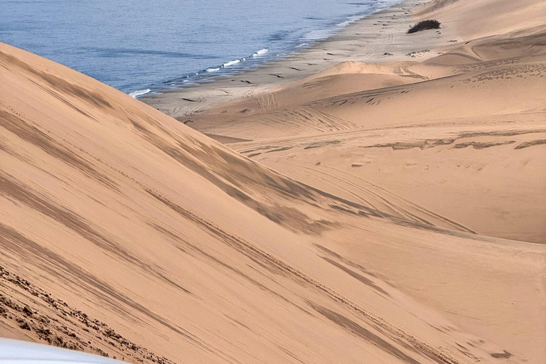 Sandwich Harbour Experience – Where Dunes Kiss the Ocean