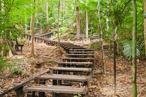 Kuala Lumpur: Taman Negara Tour w/Lata Berkoh Falls & Lunch Pickup Within KL City Centre Area Only