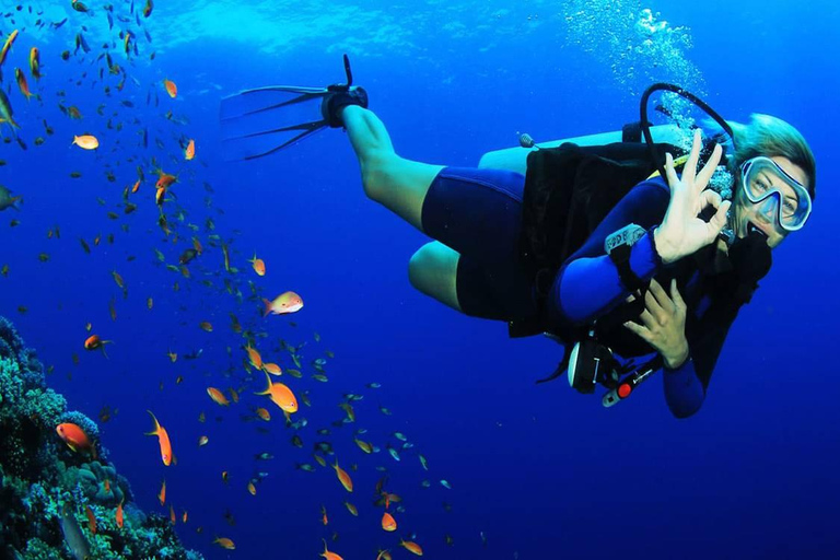 Sansibar: Schnorchel- und Tauchtour zur Insel Tumbatu