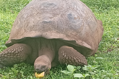 Quito: Galapagos Islands 4-Day Tour with Flights