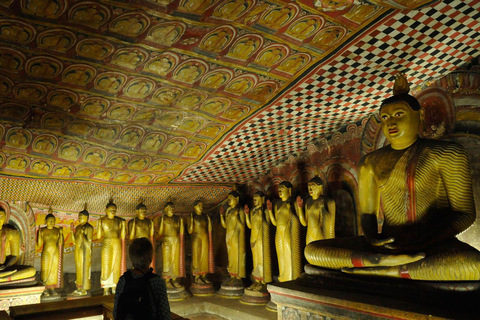 Tour de 1 dia por Sigiriya, Dambulla e Aldeia