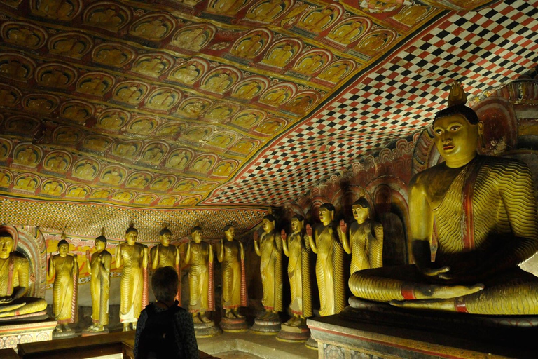 1 DAY Sigiriya, Dambulla, and Village Tour