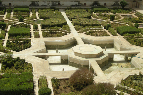 Jaipur: Amber Fort, Stadtpalast und Hawa Mahal Tagestour