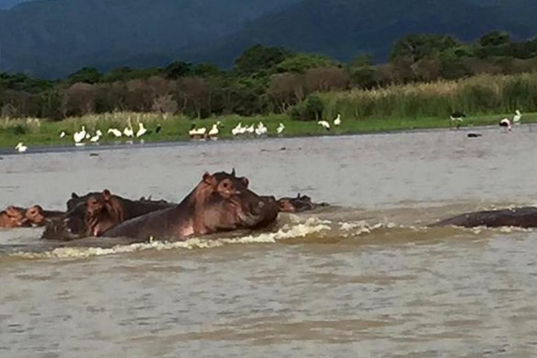 Addis Abeba: 15-tägige Äthiopien-Tour mit Flügen &amp; Hotels