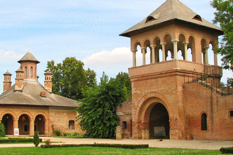 Private Tour from Bucharest to Dracula's tomb and Mogosoaia