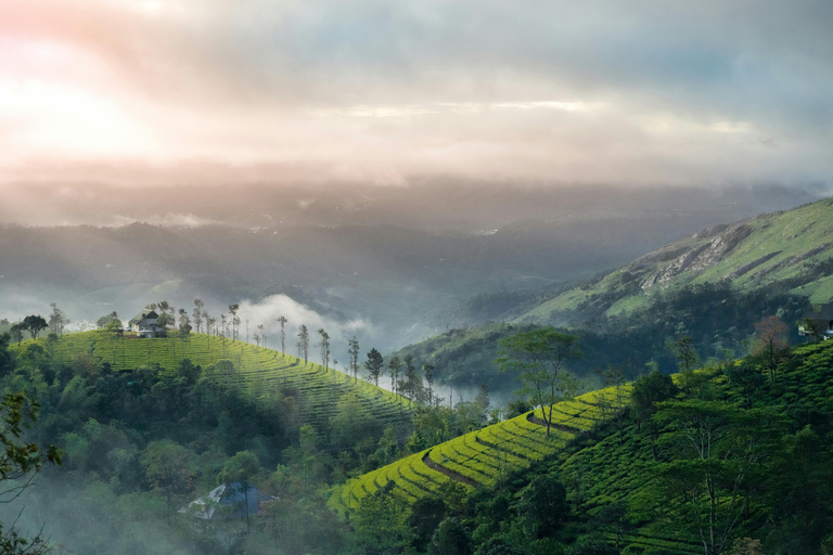 Tour privado de 5 días por Kerala con entradas para visitas turísticas