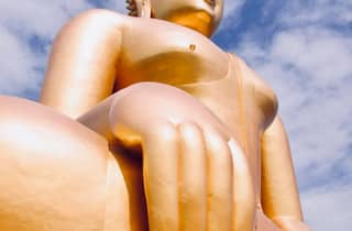 Wat Muang Ang Thong & Ayutthaya UNESCO-Tempel: private Tour