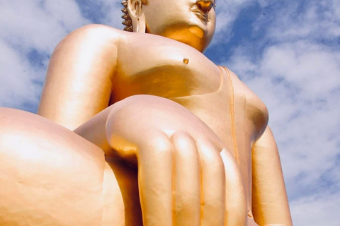 Wat Muang Angthong & Ayutthaya UNESCO Temples Private Tour