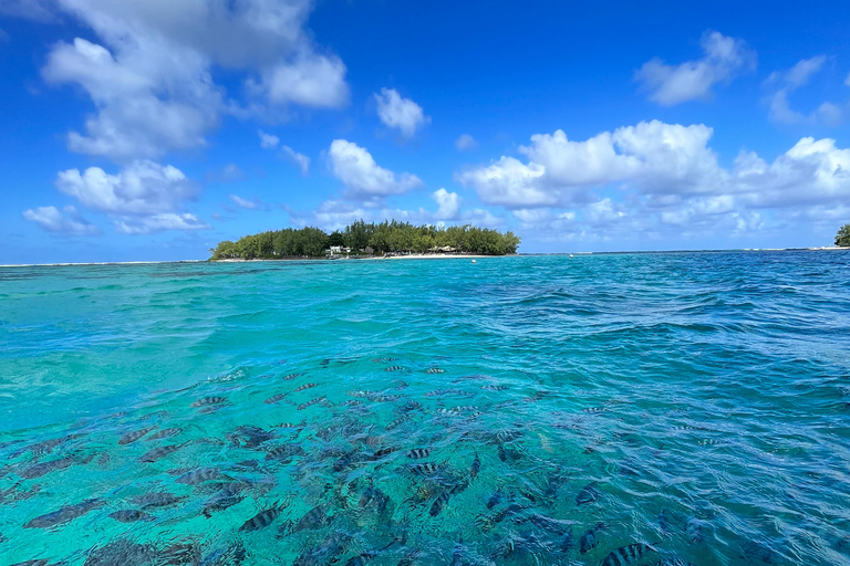 Blue Bay Marine Park: Guided Snorkeling with Video Souvenirs and Snack