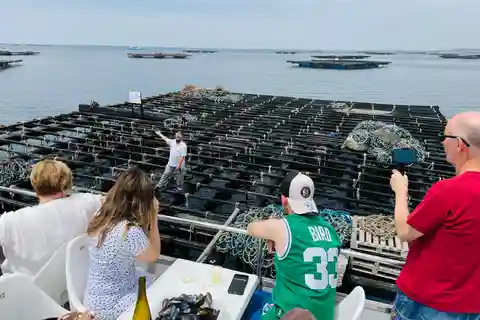La Toja: Boat Tour at the Arousa estuary with mussel tasting