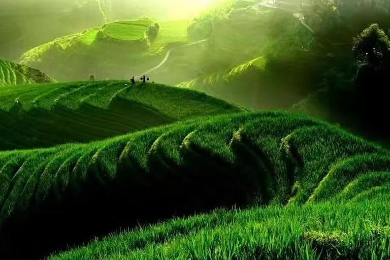 Longji Rice Terraces Flex Tour | Free Explore or Wide View Plan A: Longji Rice Terraces Self-Guided Day Trip