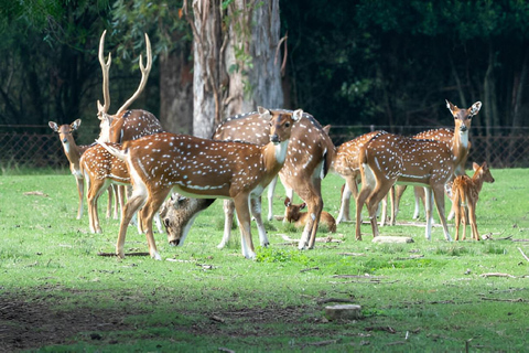 From Delhi: Taj Mahal, Agra Fort & Akbar's Tomb Day Trip Private Car + Professional Guide