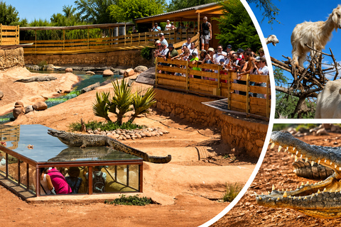 Agadir: Goats on Trees & Crocoparc Tour Crocoparc Only Without Ticket