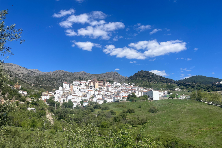 Ronda: Hiking with Local Guide
