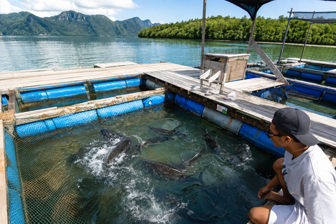 Langkawi: Mangrove Discover to SkyCab & SkyBridge Adventure