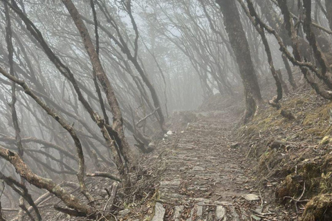 Kathmandu: 8-Day Pikey Hill Trek Pike Hill Trek - 8 days