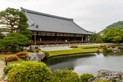 Kyoto / Osaka: Guidad tur i Kyoto och Nara ParkKyoto/Osaka: Guidad tur i Kyoto, Arashiyama och Nara Park