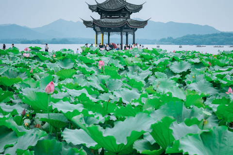 Hangzhou Day Tour: Market, West Lake Cruise & Lingyin Temple