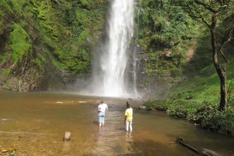 Excursion d&#039;une journée à la découverte de chutes d&#039;eau pittoresques