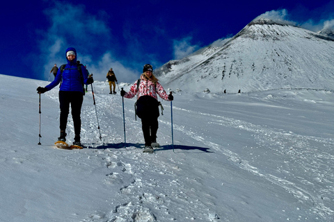 ETNA: Excursión a los Cráteres de la Cumbre en Teleférico y 4x4