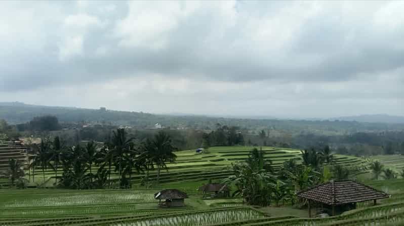 Jatiluwih Rice Terrace and Sunset Tanah Lot Inclusion