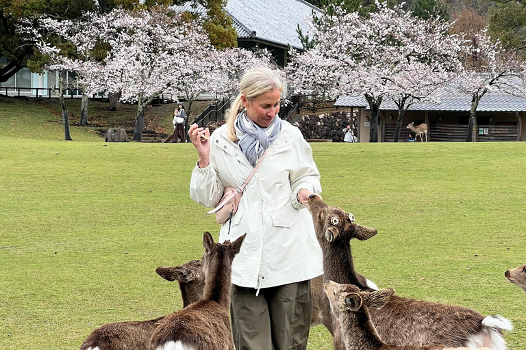 Au départ d'Osaka/Kyoto : visite privée de Kyoto-Nara (journée)Au départ d'Osaka/Kyoto : excursion privée d'une journée à Kyoto~Nara