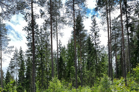 From Oslo: Norwegian Forest Survival Day Trip