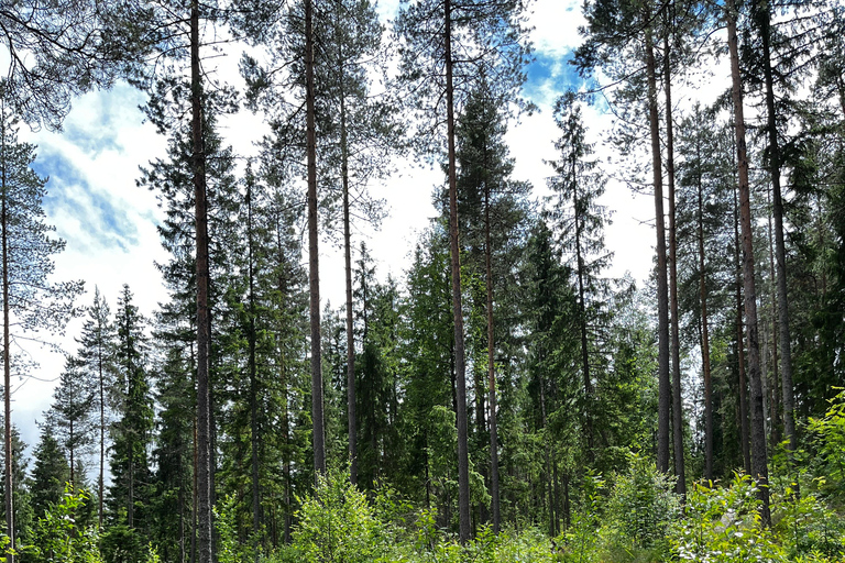 From Oslo: Norwegian Forest Survival Day Trip