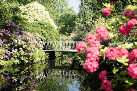 Rotterdam: Ticket de entrada al Jardín Botánico de TrompenburgRotterdam: Ticket de entrada a los Jardines de Trompenburg