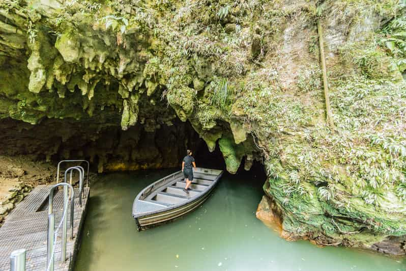 From Auckland: Hobbiton, Rotorua & Waitomo Caves Day Trip | GetYourGuide