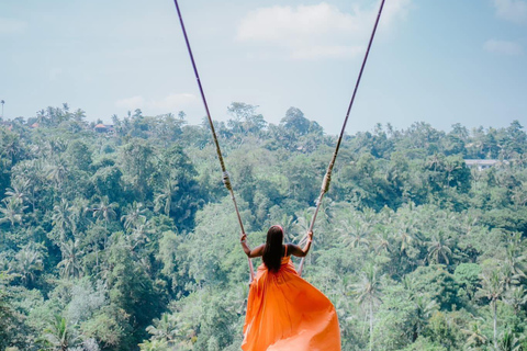 Ubud: Private Half-Day Tour Rice Terrace, Temple & Waterfall Private Ubud Half-Day Tour (Without Entrance Ticket)