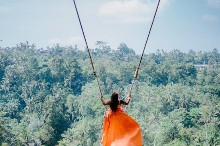 Ubud: Private Half-Day Tour Rice Terrace, Temple & Waterfall Private Ubud Half-Day Tour (Without Entrance Ticket)
